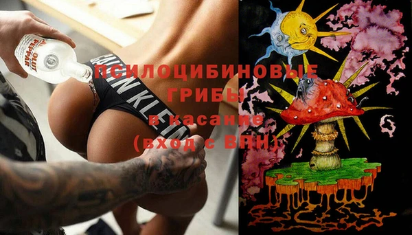 ешки Аркадак