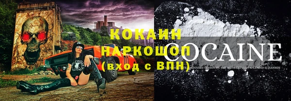 кокс Арсеньев
