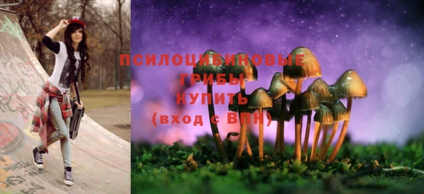 ешки Аркадак