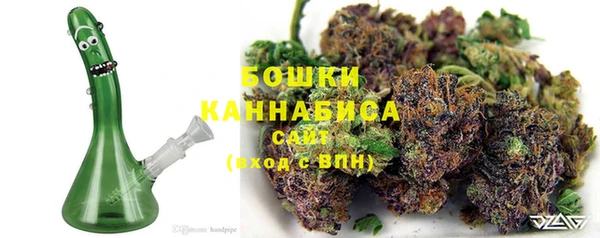 ешки Аркадак