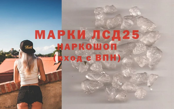 ешки Аркадак